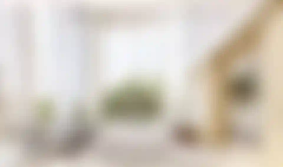 image for main block