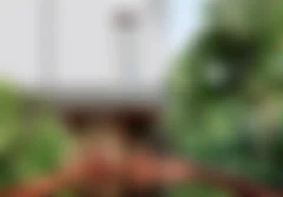 image for main block