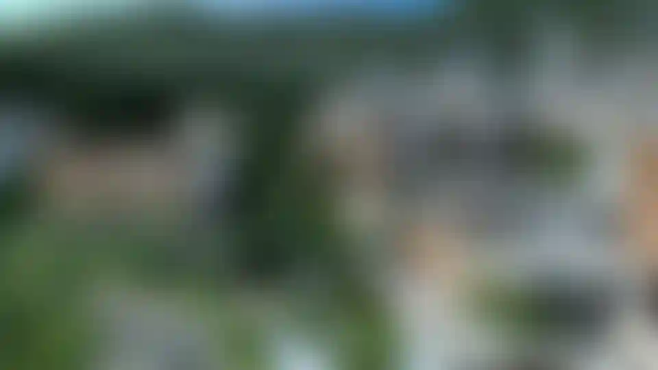 image for main block