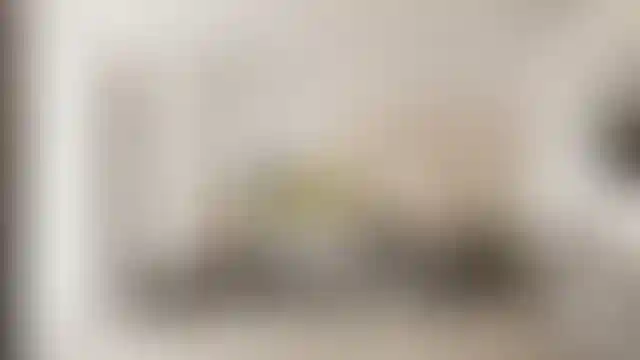 image for main block