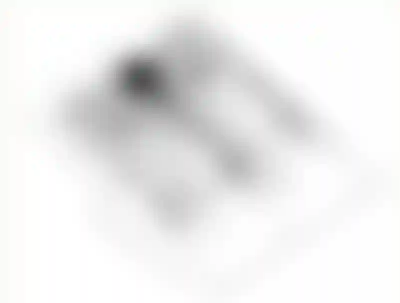 image for main block