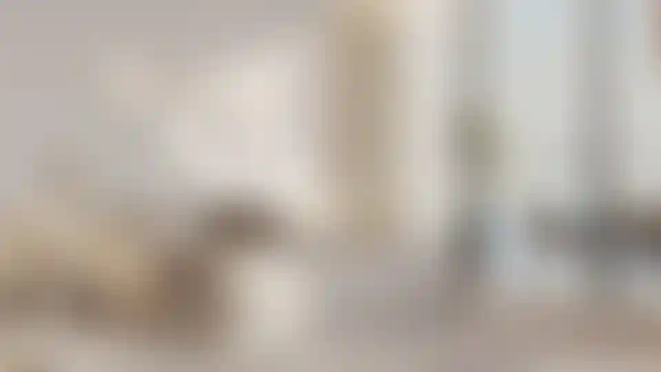 image for main block