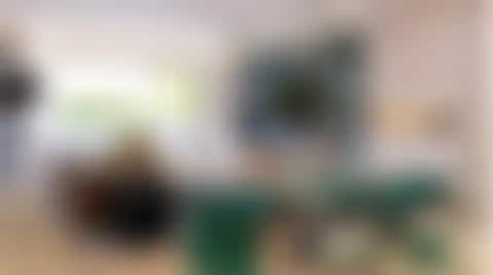 image for main block