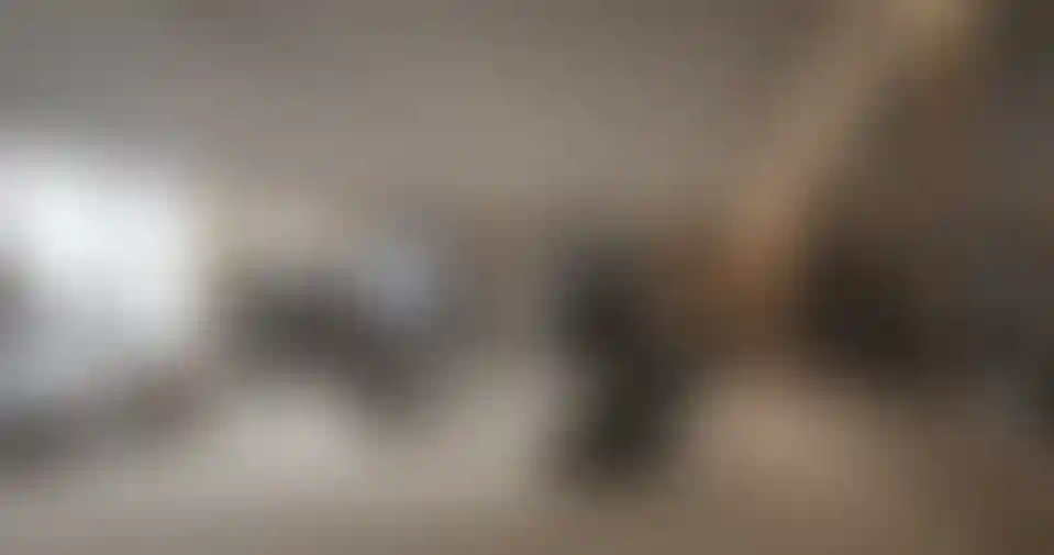 image for main block