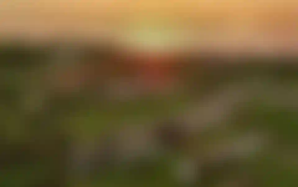 image for main block