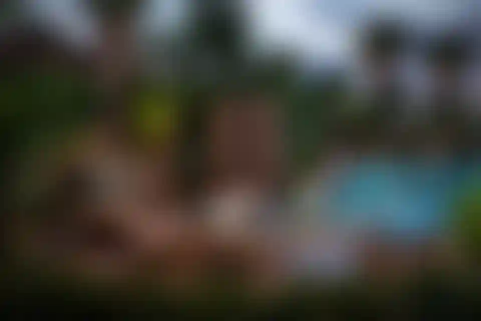 image for main block