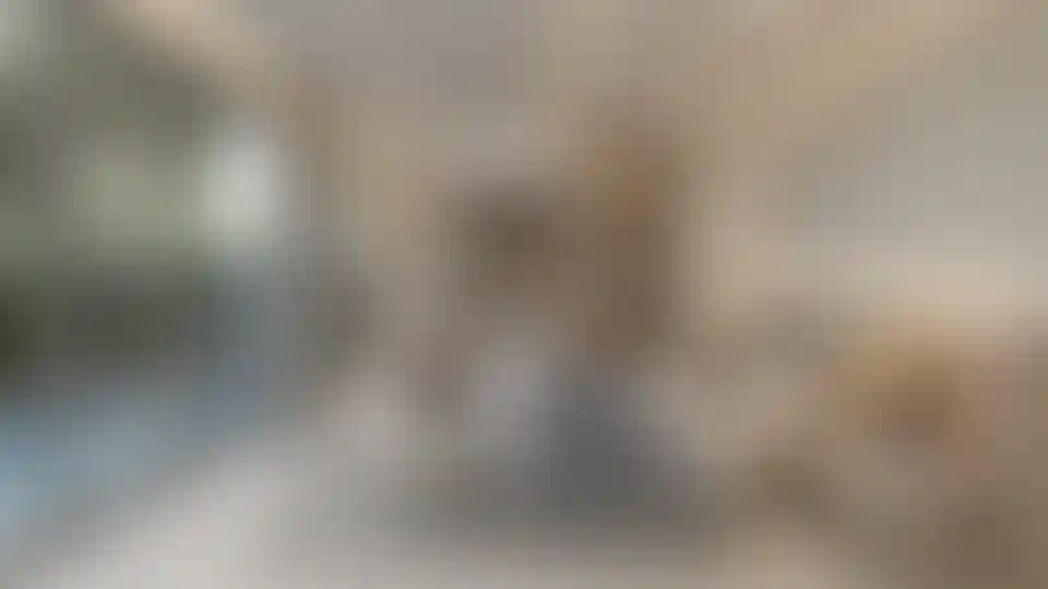 image for main block