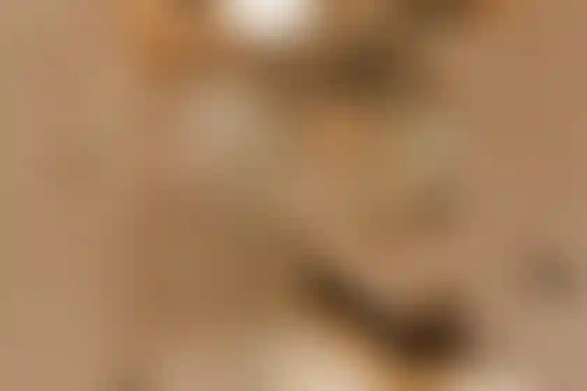 image for main block