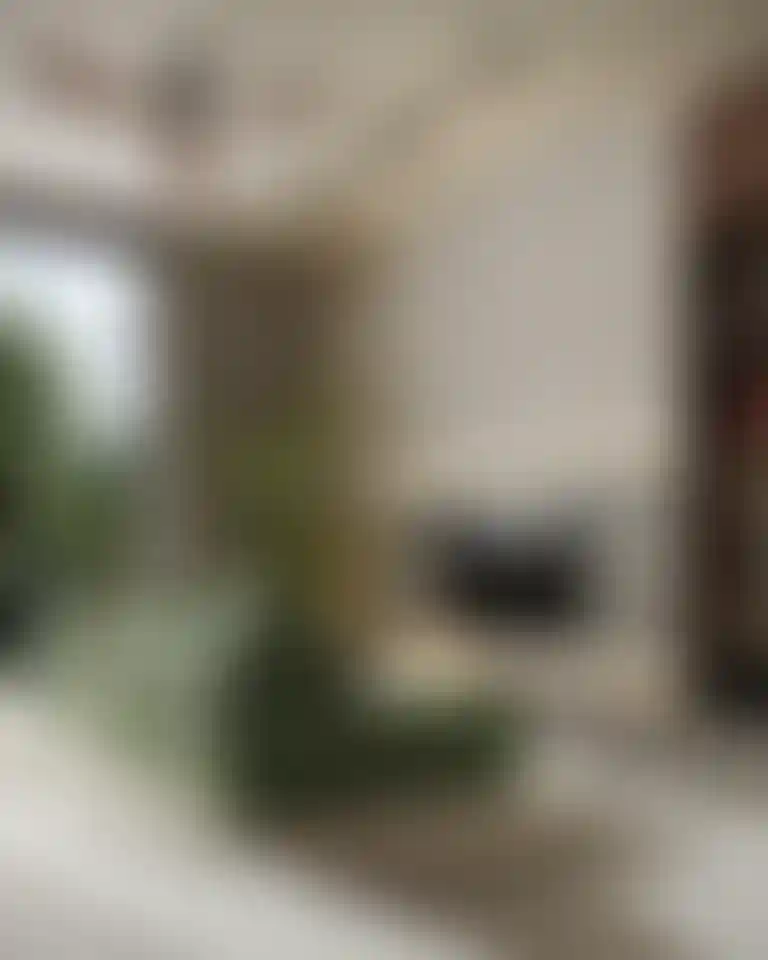 image for main block