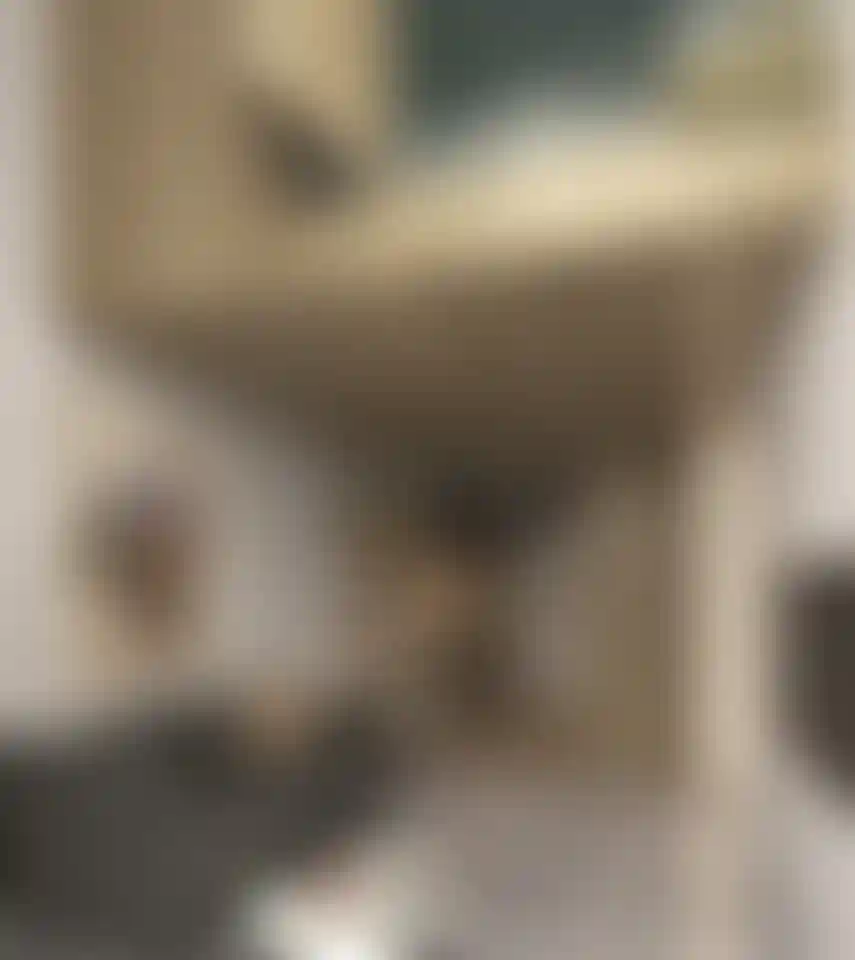 image for main block