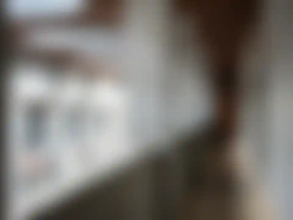 image for main block