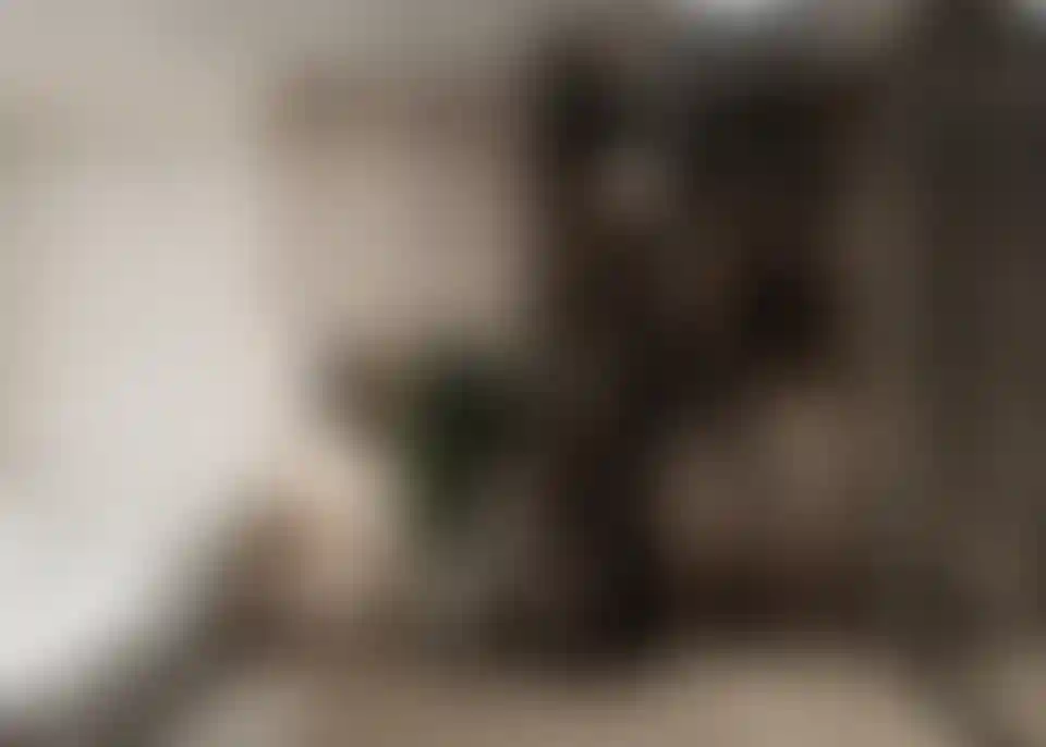 image for main block