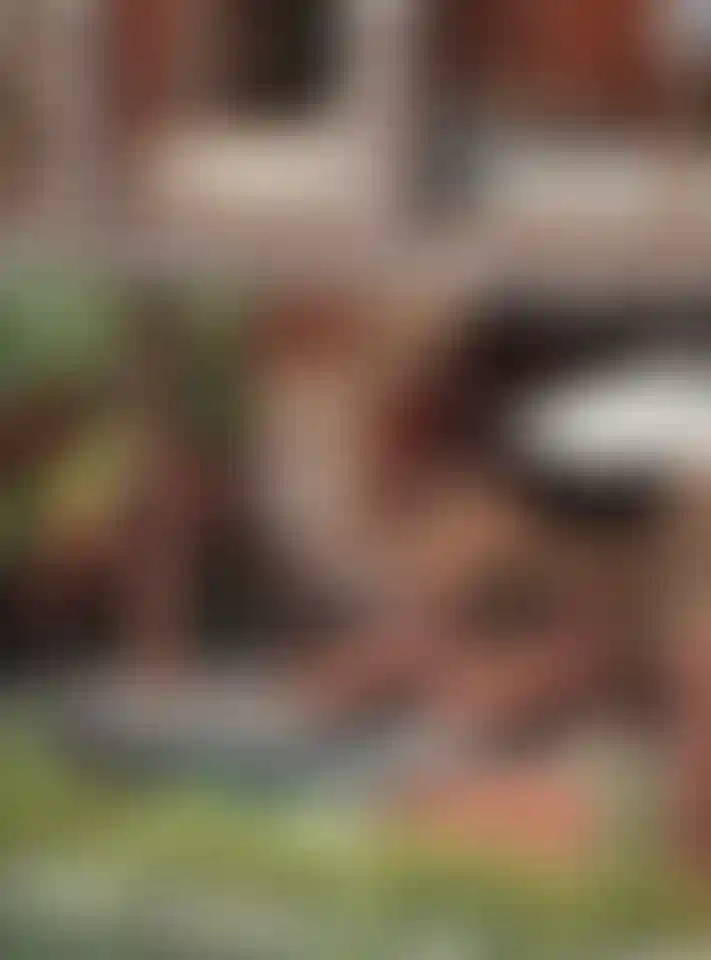 image for main block