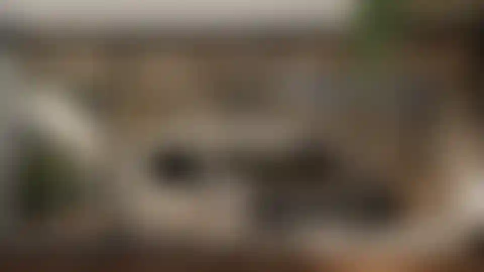 image for main block