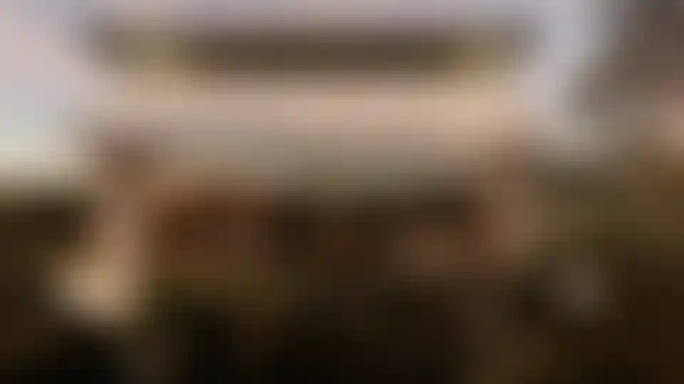 image for main block