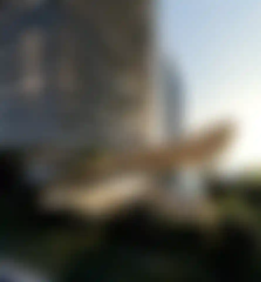 image for main block