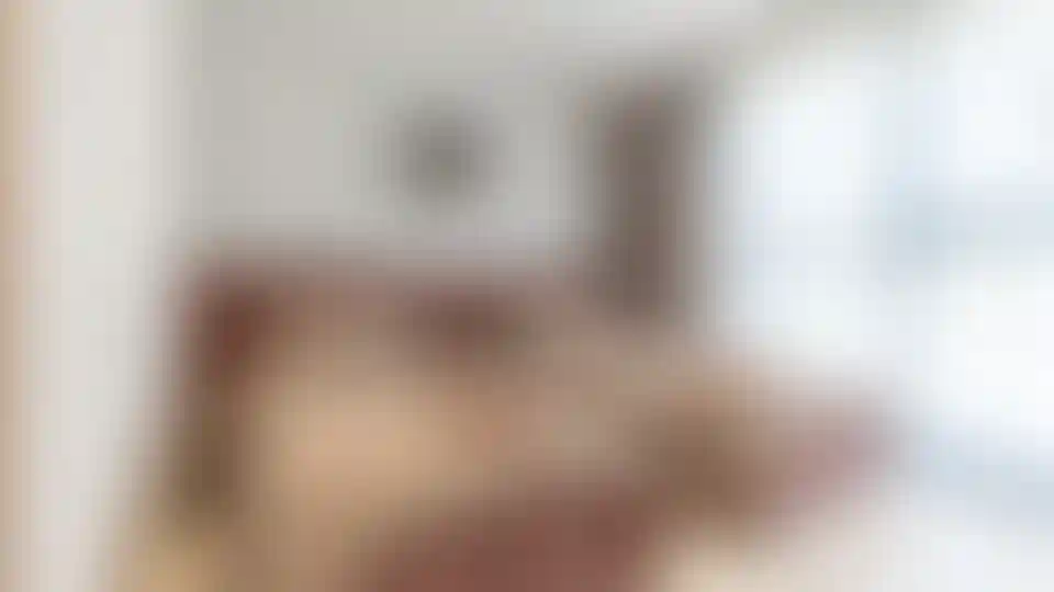 image for main block