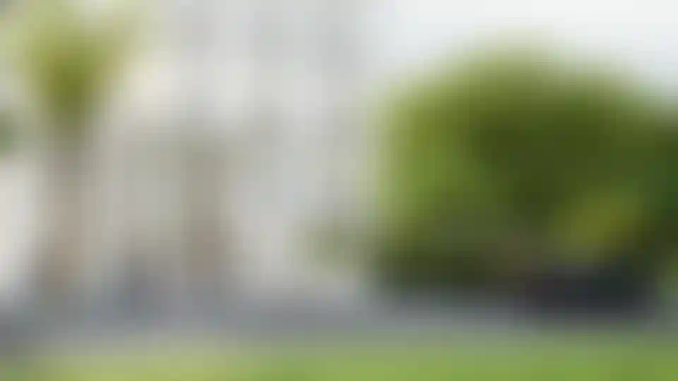 image for main block