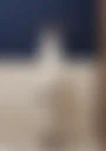 image for main block