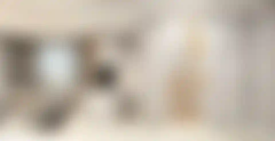 image for main block