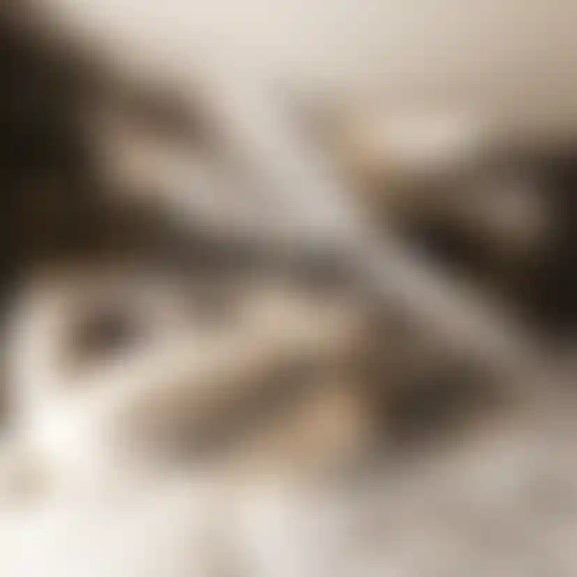 image for main block