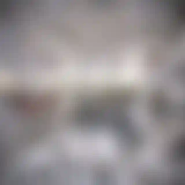 image for main block