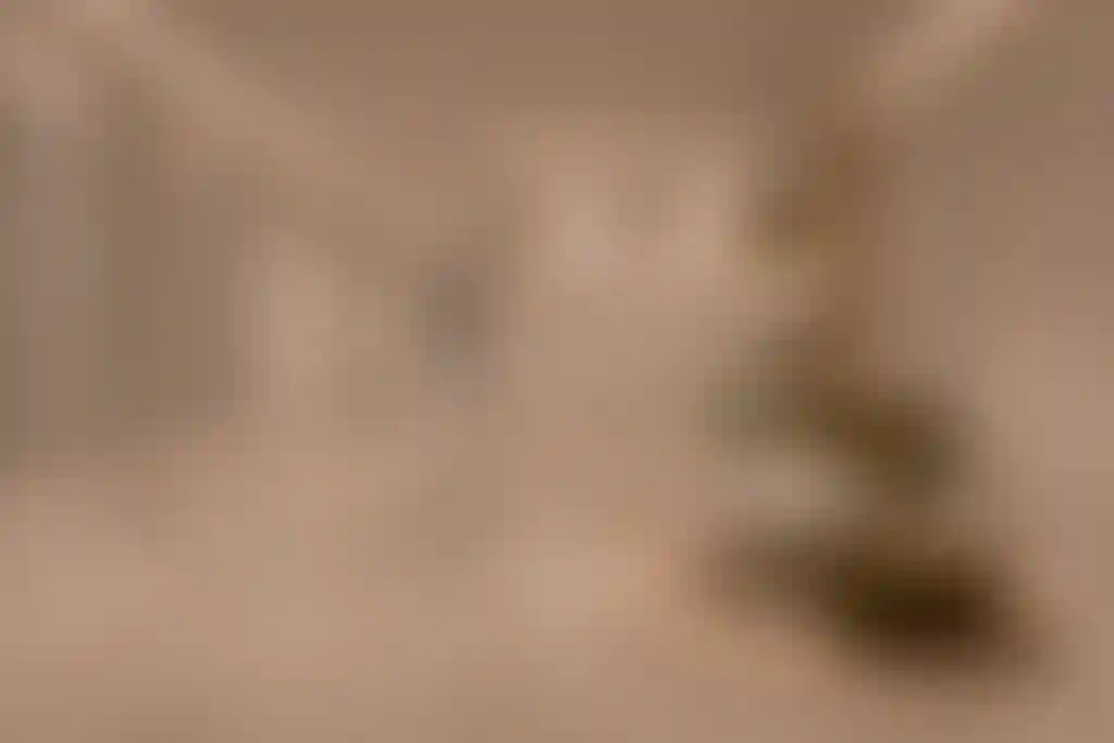 image for main block