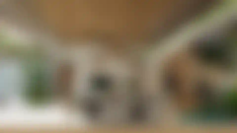 image for main block