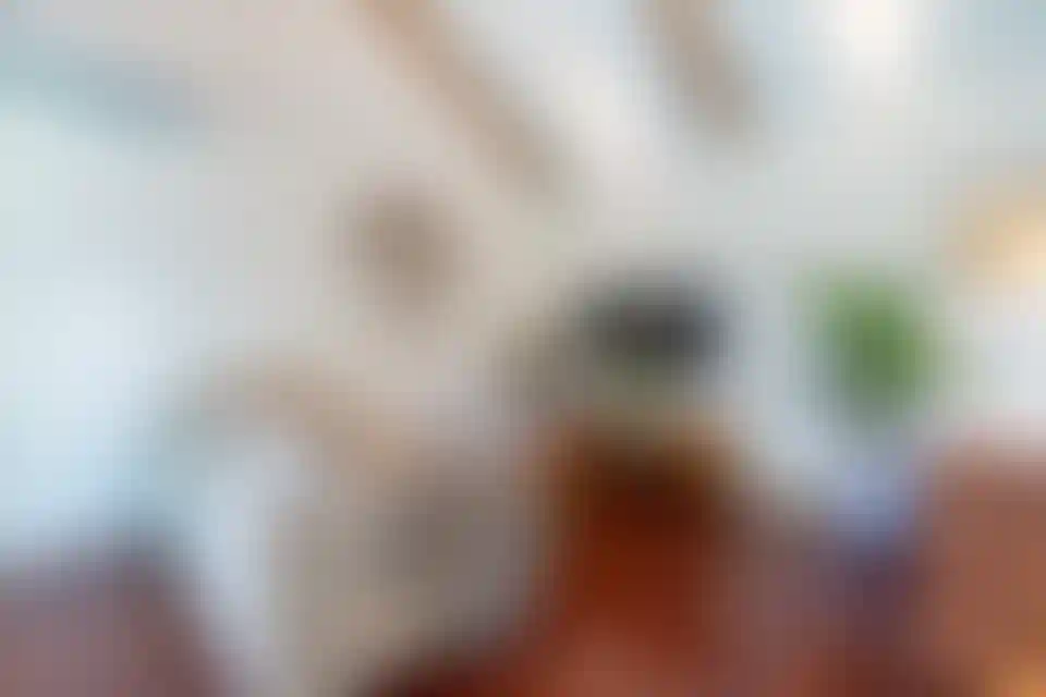 image for main block