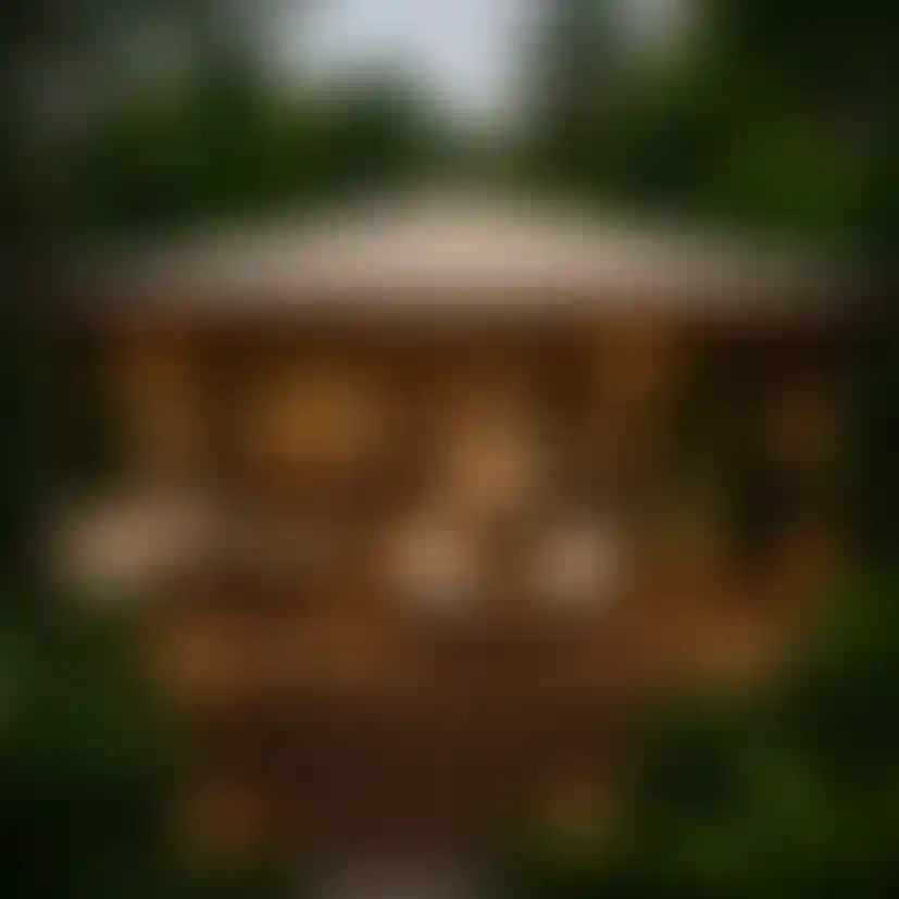 image for main block