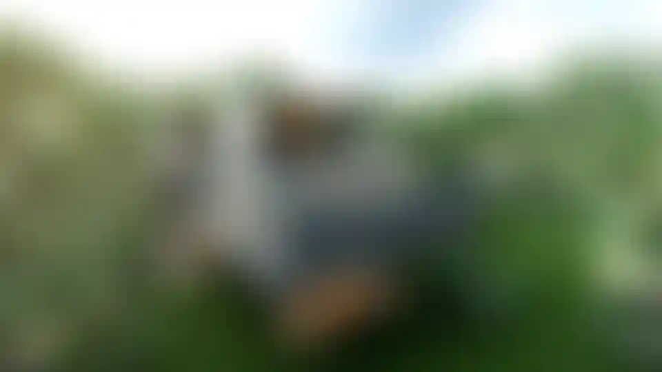 image for main block