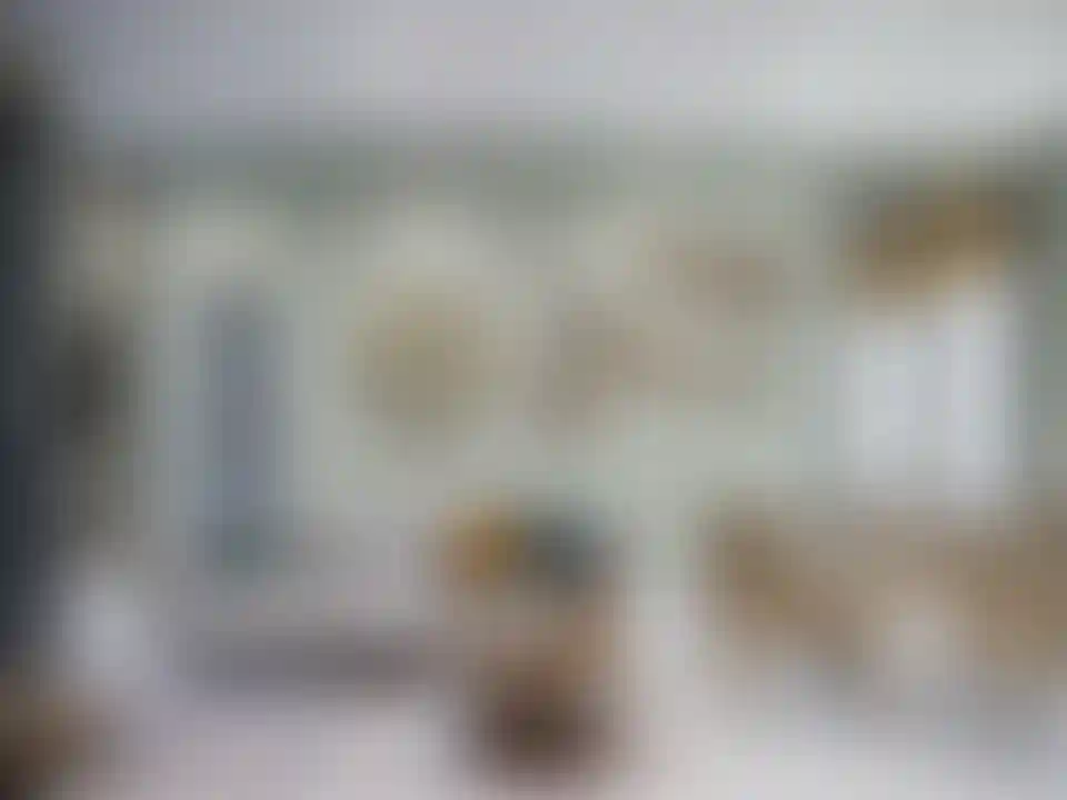 image for main block