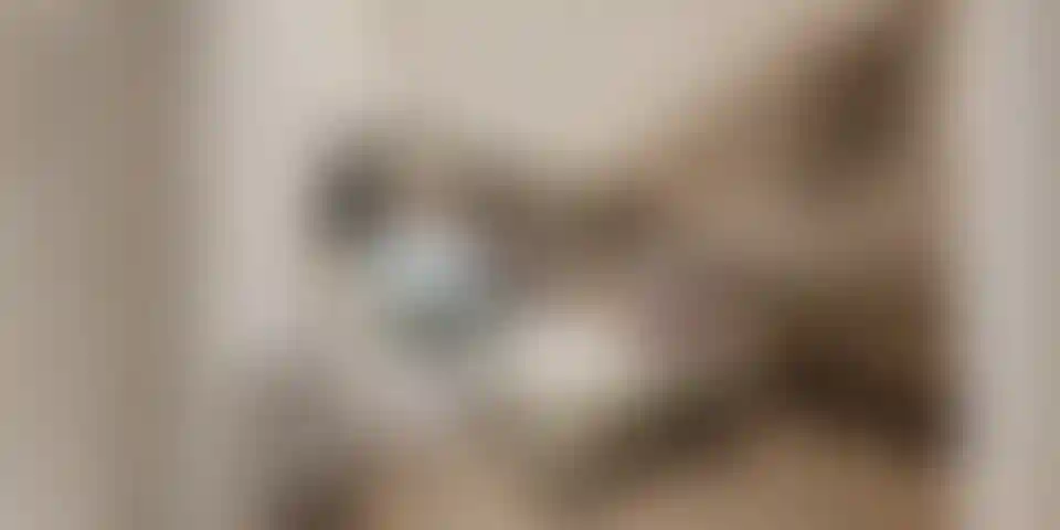 image for main block