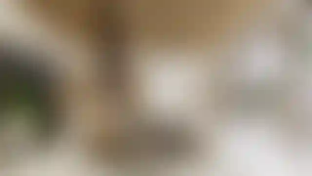 image for main block