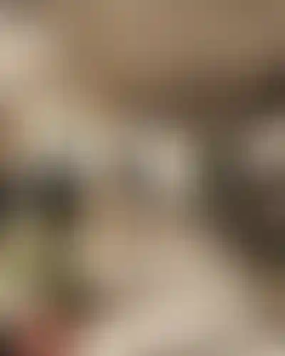 image for main block