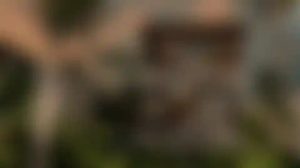 image for main block