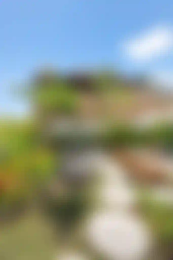 image for main block