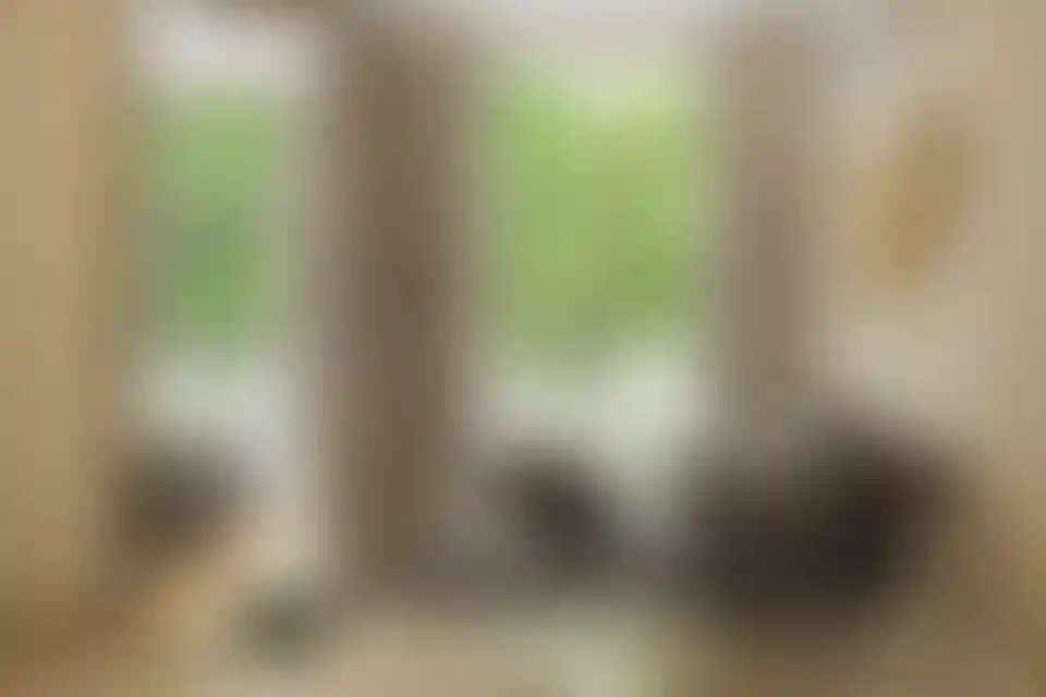 image for main block