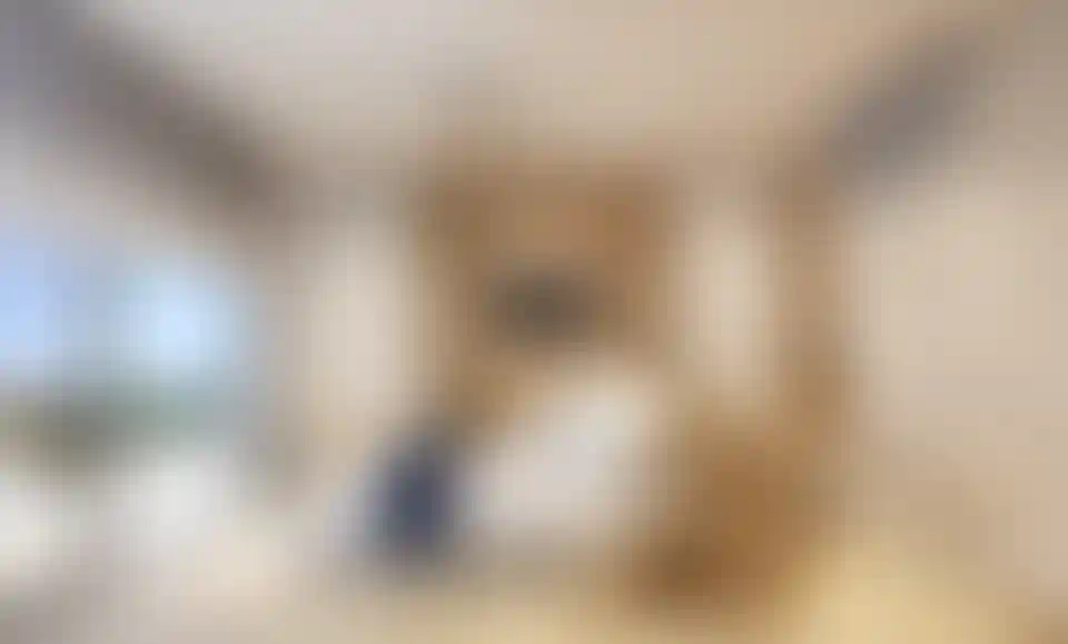 image for main block