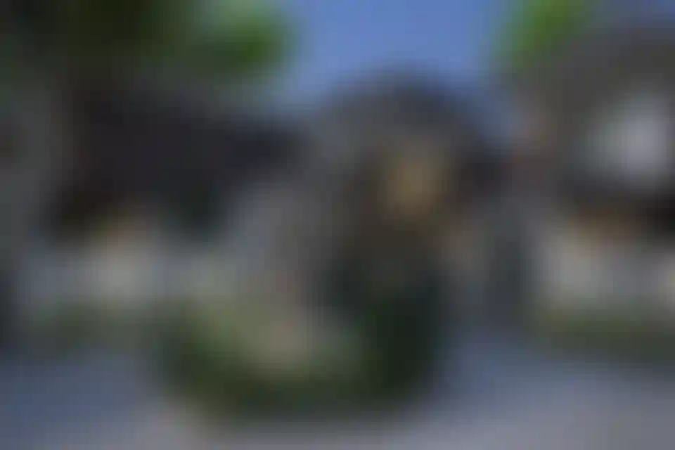 image for main block