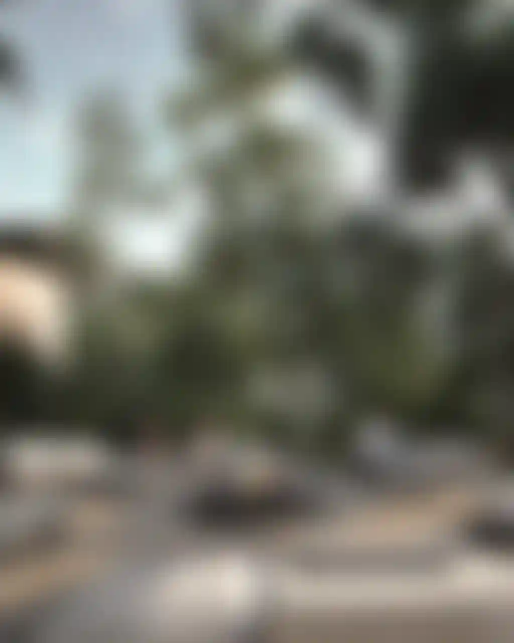 image for main block