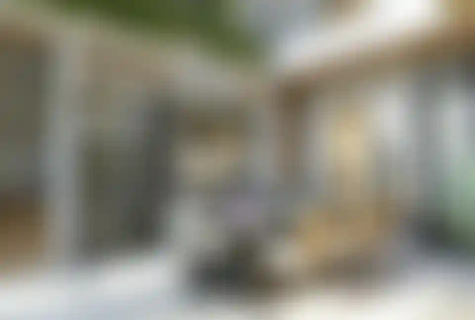 image for main block