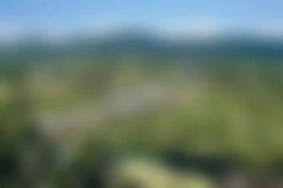 image for main block