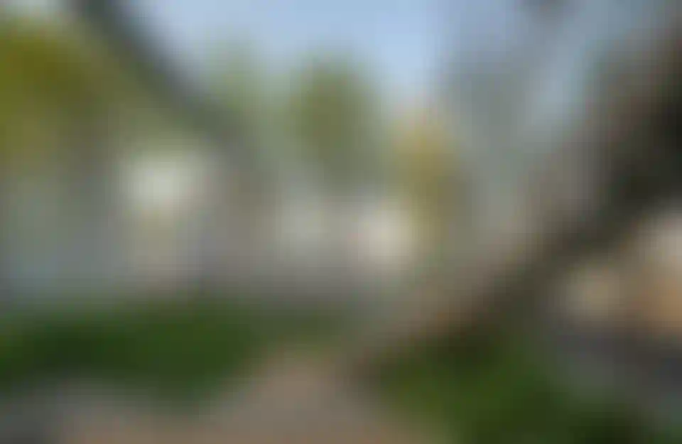 image for main block