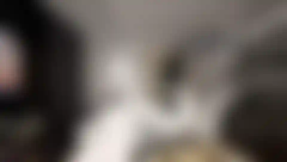 image for main block