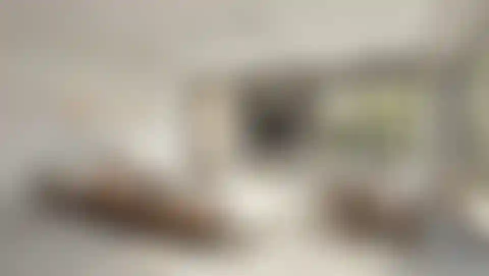 image for main block