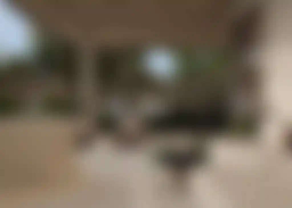 image for main block