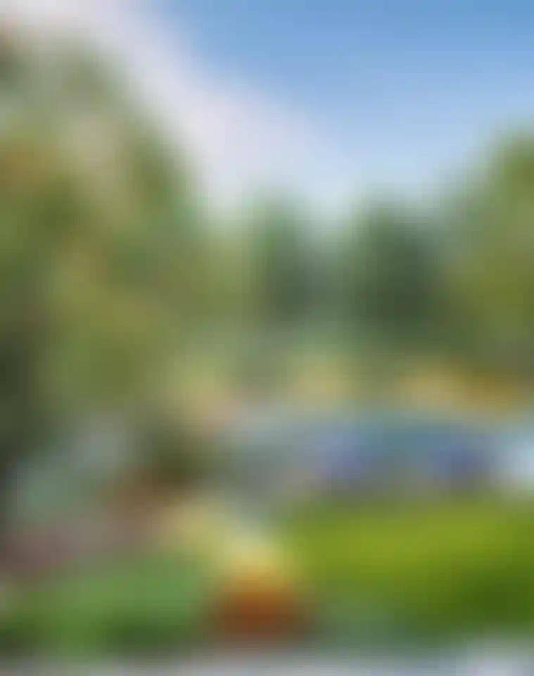 image for main block