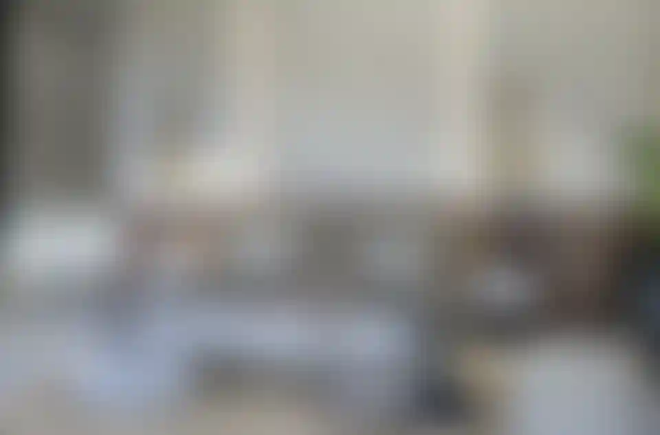 image for main block