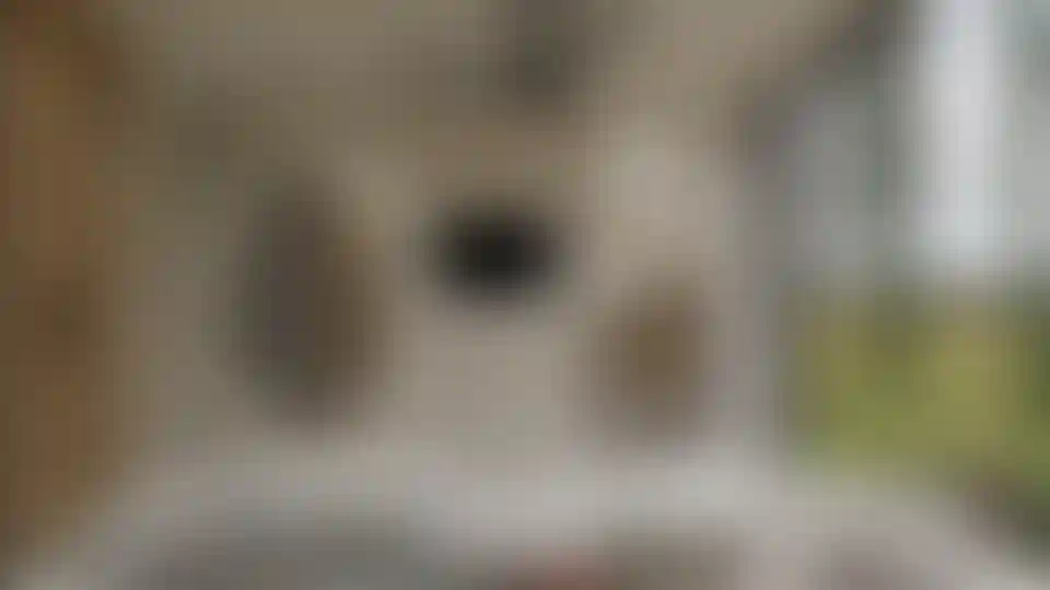 image for main block